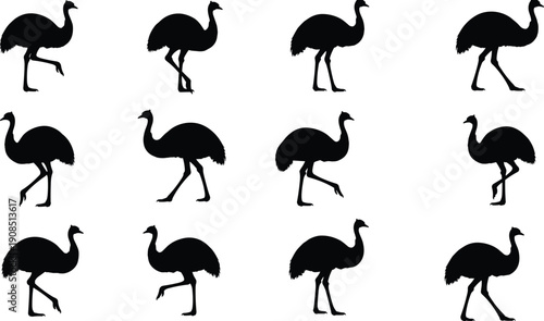 Emu bird silhouette collection with multiple walking poses, black animal shapes isolated on white background, wildlife illustration set for design, nature, and graphic use