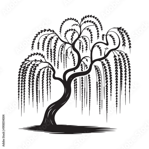 Stylized black and white illustration of a weeping willow tree