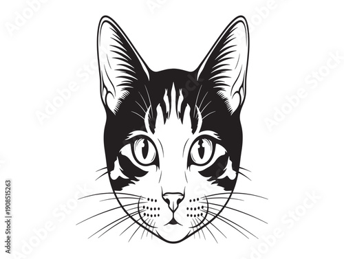 A black and white illustration of a cat's face with distinctive markings