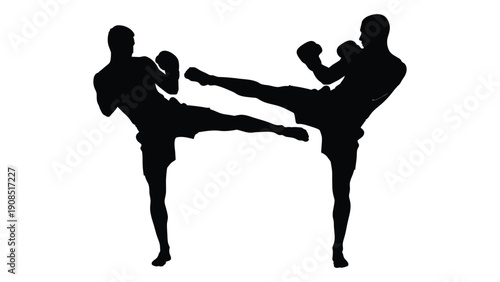 Silhouette of two martial artists engaged in a dynamic kickboxing match