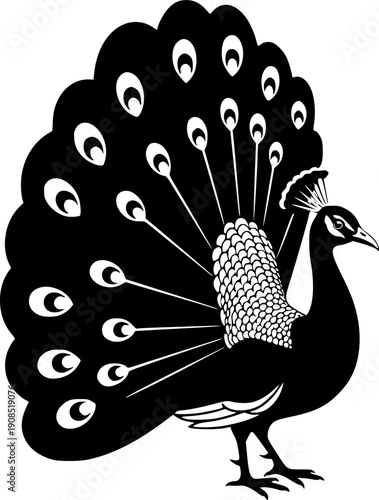 peacock - black and white isolated icon - vector illustration
