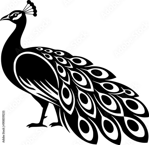 peacock - black and white isolated icon - vector illustration

