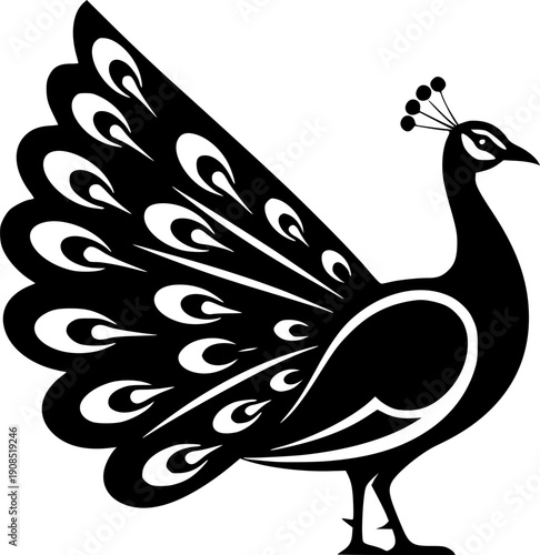 peacock - black and white isolated icon - vector illustration
