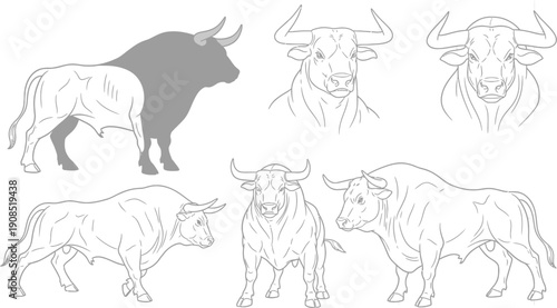 Line art study of bull anatomy and poses, featuring muscular details and various viewpoints on a grid background
