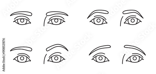 Eyebrow options that can be surgically adjusted.