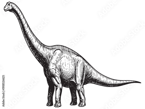 A black and white illustration of a sauropod dinosaur