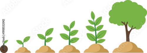 Black and white plant growth stages illustration featuring seedling, sprout, leaf development, medium plant, and mature tree with canopy for biology and environmental graphics