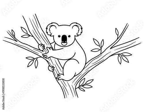 A koala resting peacefully on eucalyptus branches in a simple line drawing