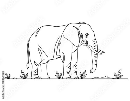 Two elephants grazing peacefully in a natural savanna setting with sparse vegetation.