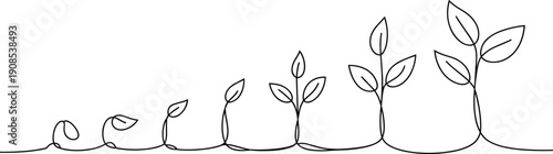 Continuous line plant growth illustration featuring sprout, leaf development, and mature plant stages for biology, environmental education, and motivational design graphics