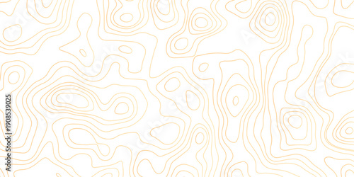 Topographic map background geographic line map with seamless ornament design. vector geographic contour map. geographic mountain relief diagram line wave carve pattern.