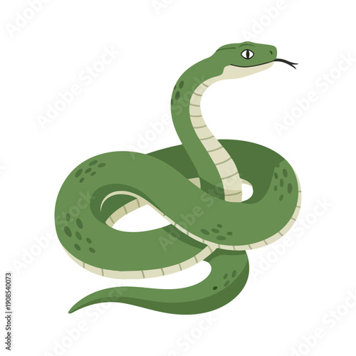 Coiled Green Snake Vector Illustration Simple Serpent Design