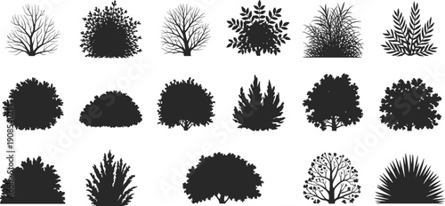 Bush and tree silhouettes illustration with diverse foliage, leafless winter forms, ornamental plants, black and white artwork, botanical design concept