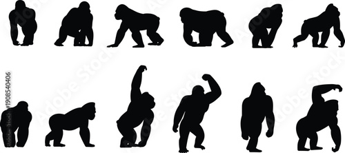 Gorilla silhouettes illustration with diverse poses, crouching, walking, standing upright, raising arms, black and white artwork, wildlife, animal design concept