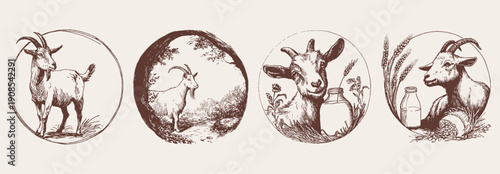 Goat farm dairy animals rustic vintage sketch. Hand drawn crayon ink line drawing set in retro style. Detailed rural scenes and milk elements for organic farm design.