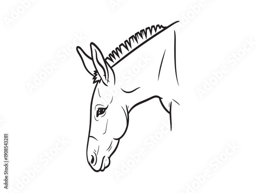 A black and white line drawing of a donkey's head