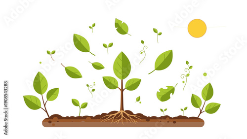 Illustration of a plant growing with multiple sprouts from soil against a white background under a yellow sun.