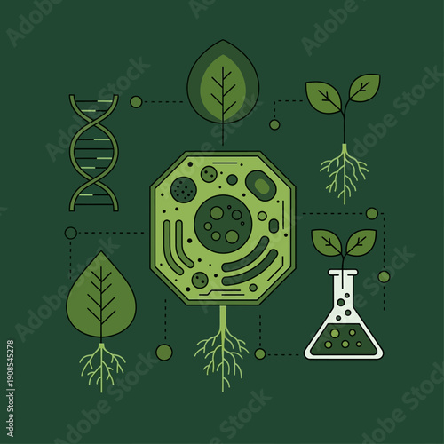 Plant Cell Biology: DNA, Leaves, Roots, Flask, Science Illustration