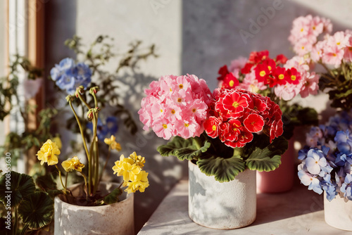Colorful Blooms Inside Reused Containers Surrounded By Everyday Waste, Sustainable Design Still Life, Creative Recycling Concept, Eco Friendly Lifestyle