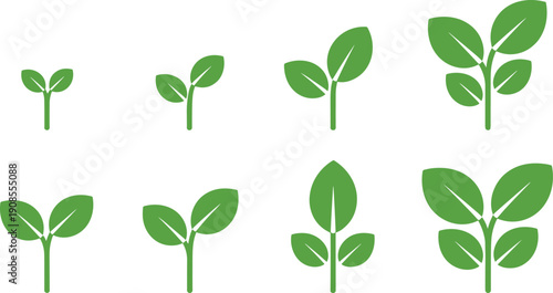 Plant growth stages vector illustration, green sprout icons, seedling to mature plant, botanical development, agriculture concept, eco-friendly nature graphics, educational design
