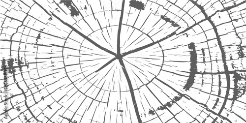 Detailed abstract illustration of a weathered wood grain cross-section with radial lines and cracks, black and white vector graphic