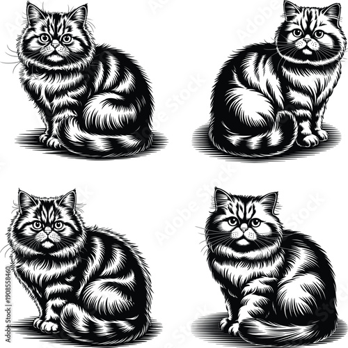 Cat Breeds SVG Bundle, Cat Designs,Digital Download