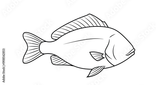 Simple line drawing of a fish featuring detailed fins and a rounded body