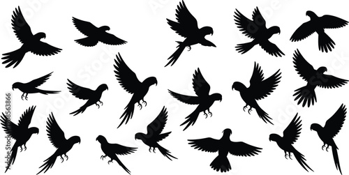 Black flying parrot silhouette collection, tropical bird in flight poses, wildlife avian illustration set, isolated vector icons on white background