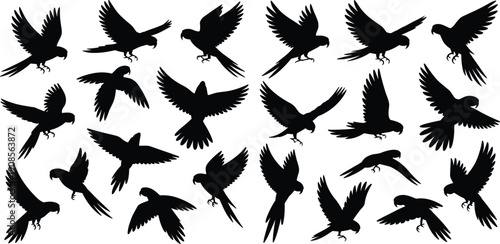 Black flying parrot silhouette set, tropical bird in flight poses, wildlife animal illustration collection, isolated vector icons on white background
