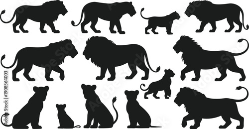 Black lion silhouette set, male female and cub poses, wild African animal illustration collection, isolated vector icons on white background