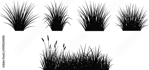 Black grass silhouettes set featuring wild meadow lawn and marsh plants isolated on white background vector illustration collection for landscaping design projects