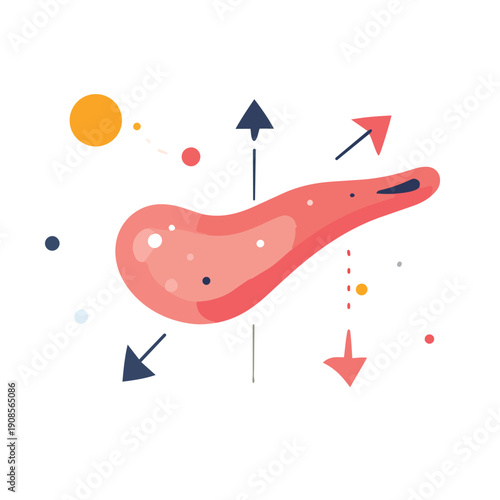 ancreas Insulin Flow