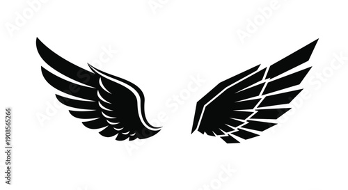 Dramatic black wings displayed against a white background a striking silhouette