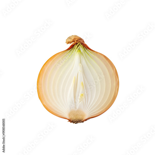 Cross section of a yellow onion isolated On Transparent Background