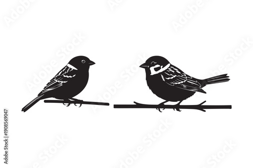 Wallpaper Mural Two sparrows perched on branches, black silhouettes Torontodigital.ca