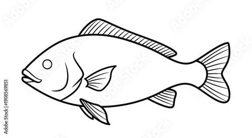 Simple line drawing of a fish showcasing its basic anatomical features
