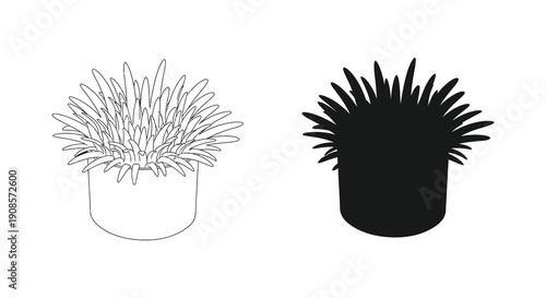 A contrasting pair of cactus illustrations showcases line art and a bold black silhouette highlighting desert flora high quality professional detailed