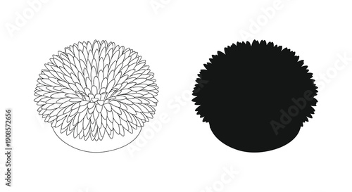 Two circular arrangements depict floral or spherical forms one detailed and one a stark silhouette high quality professional modern elegant stylish