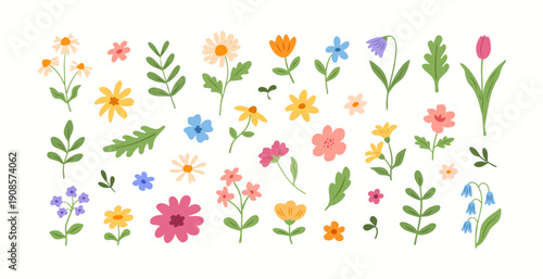 Vector doodle set of different flowers