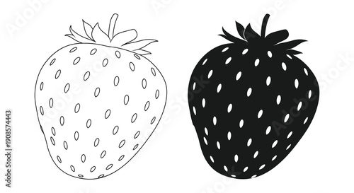 Two strawberry illustrations are displayed one with line art and the other a dark silhouette high quality professional detailed modern elegant