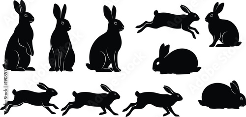 Silhouette of rabbits isolated on transparent background