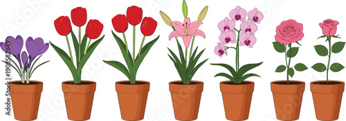 Potted spring flower vector set featuring red tulips pink roses lilies purple orchids and crocus in terracotta pots for garden design.