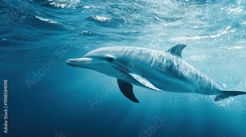Dolphin Swims Freely in Vast Ocean Showcasing Intelligence and Grace Under Sunlight With Open Water Surrounding