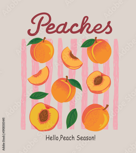 Hand drawn Fresh peach fruit print. Nature fruit club print design. Organic food artwork for for t-shirt. Fruit vintage t-shirt design. Peaches farm artwork. Summer tropical poster