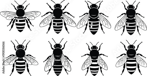 Bee silhouettes set, honeybee insect collection, pollinator wildlife illustration, flying winged bugs, nature ecology design bundle