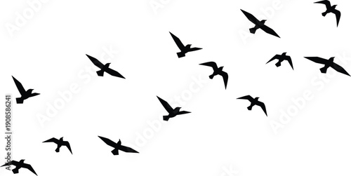 Flying birds silhouette isolated on white background symbolizing freedom migration movement peace nature minimalist wildlife illustration