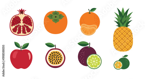Vibrant fruits vector illustration collection isolated on white background