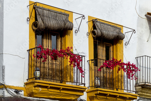 Tableau sur toile Traditional Andalusian Balconies in Jerez de la Frontera Spain with Bougainville