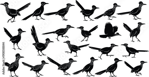 Roadrunner bird silhouettes set, desert wildlife collection, running bird poses, avian illustration icons, nature animal design bundle