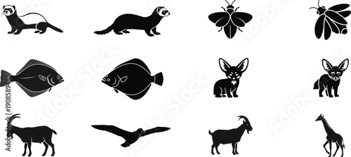 Collection of diverse animal silhouettes